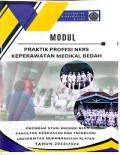 Modul Praktik Profesi Ners Keperawatan Medikal Bedah